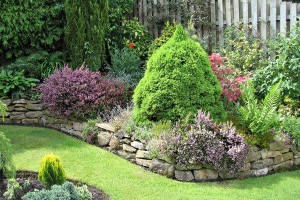 Créditos: ehomegardening.com
