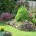 Créditos: ehomegardening.com