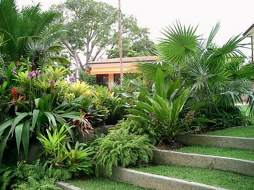 Projetos – Fotos de jardins de sítios – Dicas de Decoração Projetos – Fotos de jardins de sítios – Dicas de Decoração
