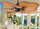 ventilador de teto Créditos: bbel.uol.com.br