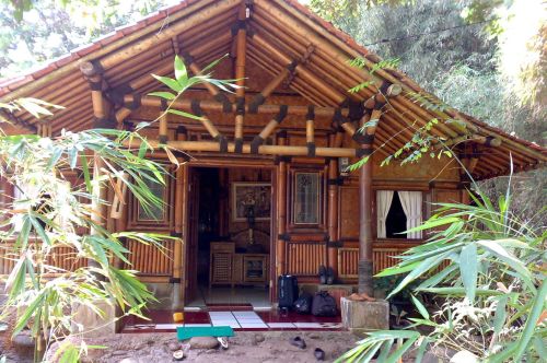 Investir em projetos de casas de bambu além ajudar o planeta ainda garante visual inovador e ultradescolado para seu lar (Foto: Divulgação) 
