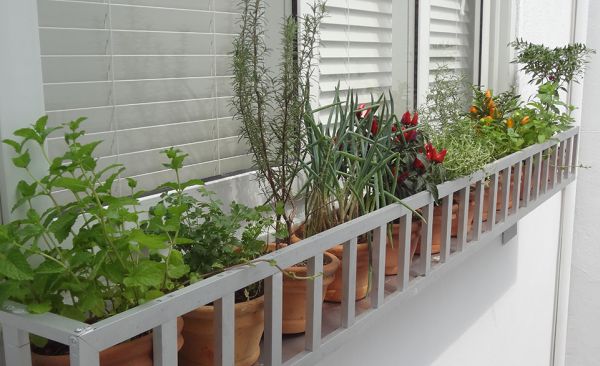 A decoração de horta em varandas garante mais saúde para a sua família, além de beleza estética para a sua casa (Foto: Divulgação)