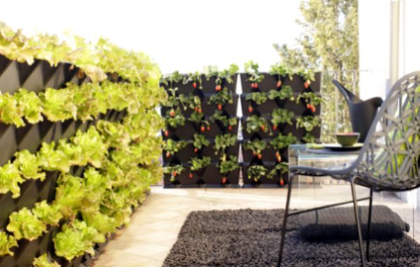 Fazer uma decoração de varanda com jardim vertical é uma ótima maneira de renovar o clima de seu lar (Foto: urbangardensweb.com)     