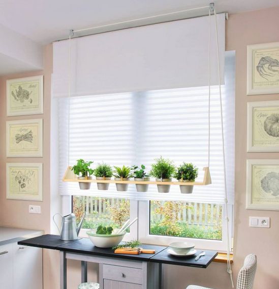 Esta ideia criativa para decorar cozinha com plantas é diferente, mas não é difícil de ser conseguida (Foto: diy-enthusiasts.com)