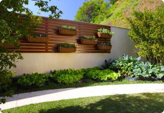  O jardim vertical para a área externa é diferente, mas lindo (Foto: decorardicas.com.br)     