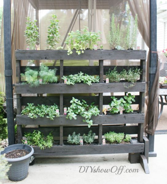 Decoração com pallets para jardim é a melhor alternativa em épocas de planeta poluído (Foto: diyshowoff.com)