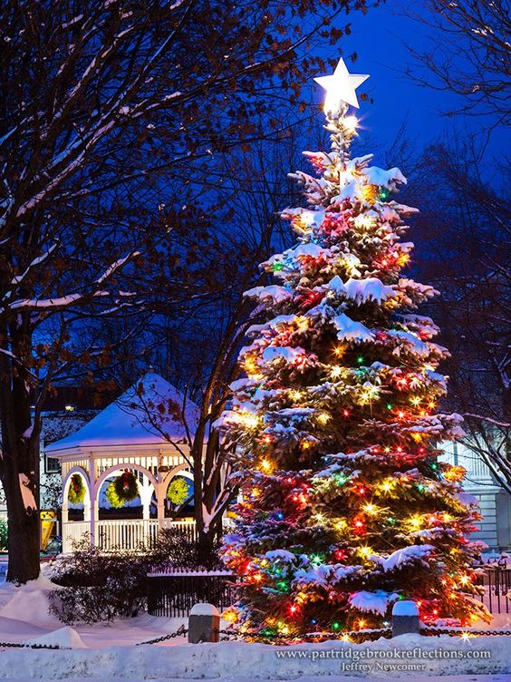 Decoração de Natal para Jardim