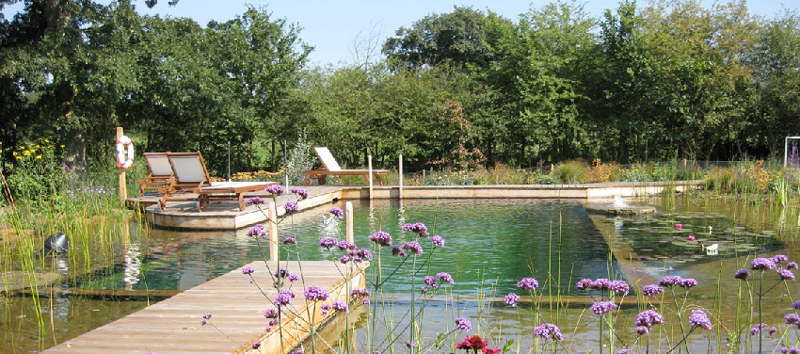 Dicas de Decoração para Piscina Natural