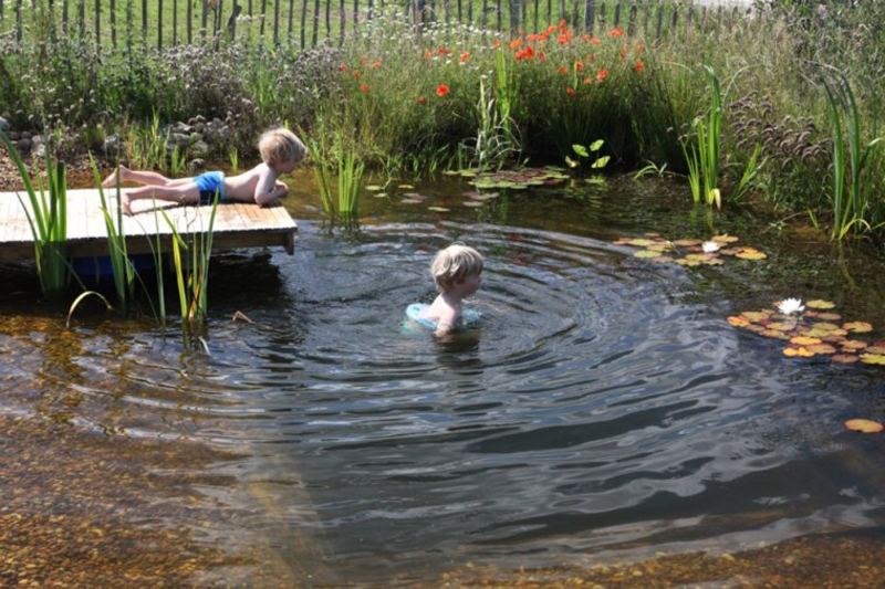 Dicas de Decoração para Piscina Natural