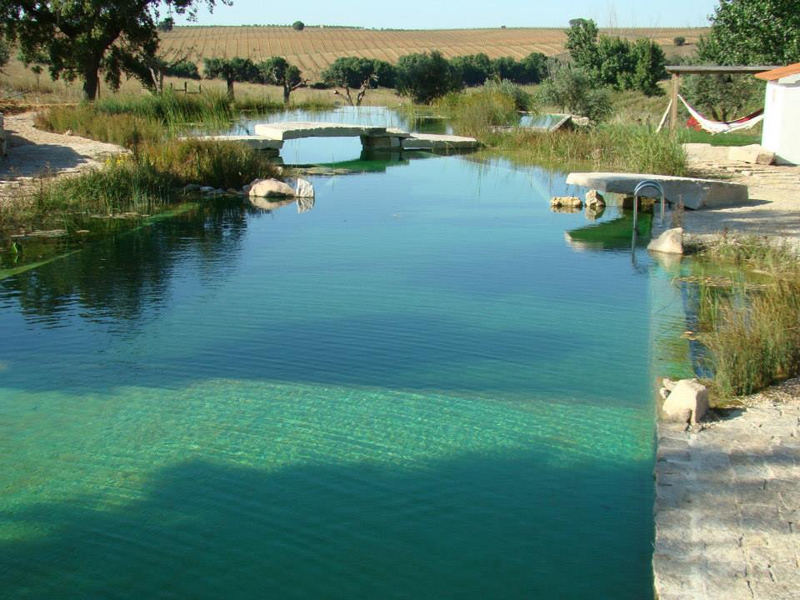 Dicas de Decoração para Piscina Natural