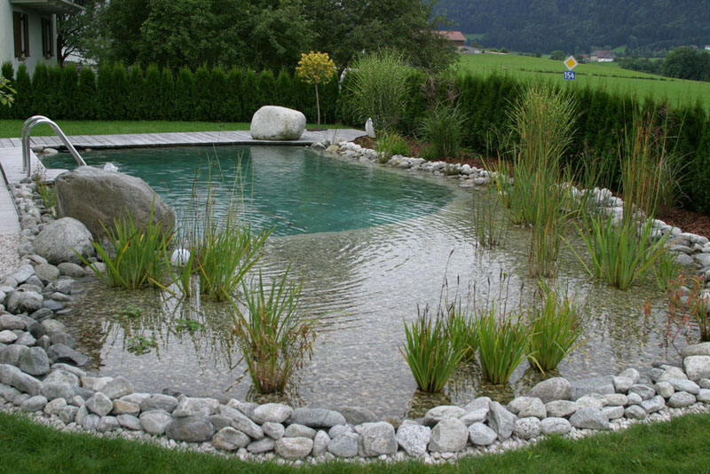 Dicas de Decoração para Piscina Natural