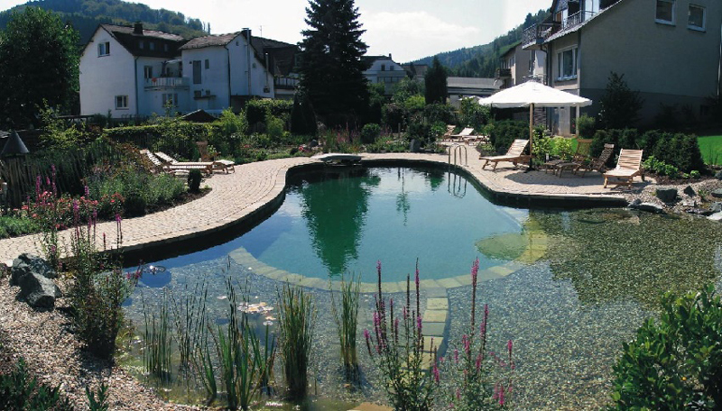 Dicas de Decoração para Piscina Natural