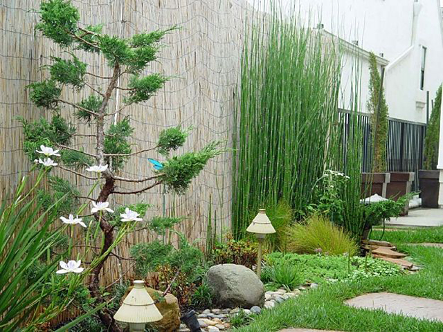 Dicas de Projetos de Jardins Grandes