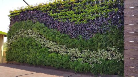 jardim vertical com desenho