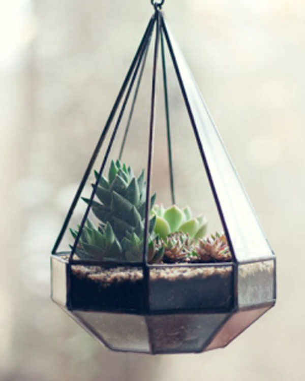 Vaso triangular suspenso para plantar suculenta