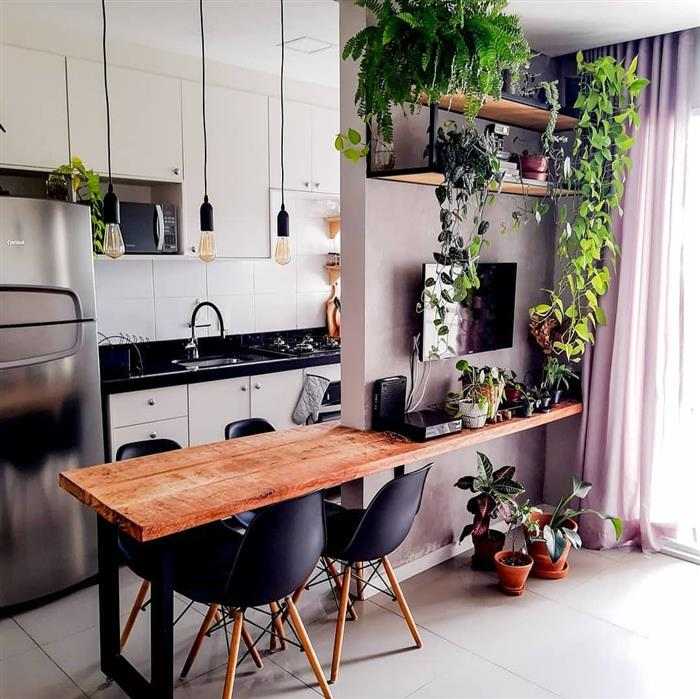 sala com dois ambientes com plantas