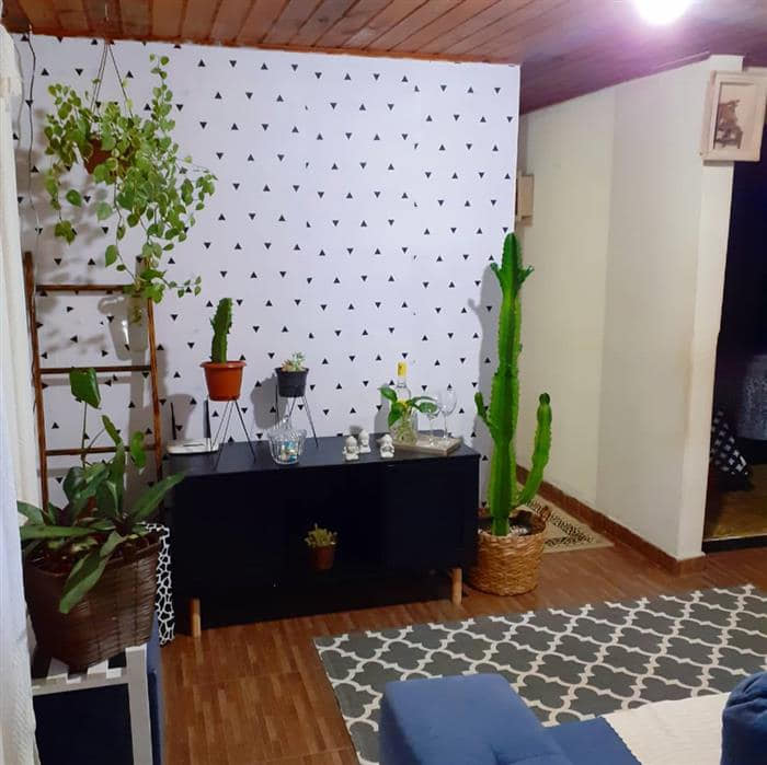 decoração de sala com plantas