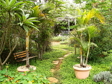 FOTOS DE JARDINS DE SÍTIOS - DICAS DE DECORAÇÃO FOTOS DE JARDINS DE SÍTIOS - DICAS DE DECORAÇÃO