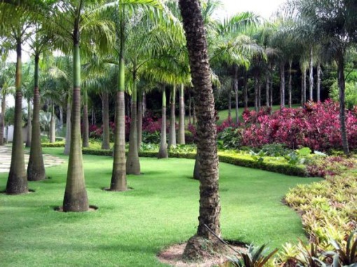 FOTOS DE JARDINS DE SÍTIOS - DICAS DE DECORAÇÃO FOTOS DE JARDINS DE SÍTIOS - DICAS DE DECORAÇÃO