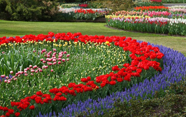 FOTOS DE CANTEIROS DE FLORES E JARDINS