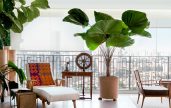 plantas de apartamento grandes